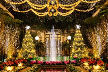 Longwood Gardens Christmas with Lunch