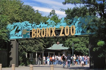 Bronx Zoo