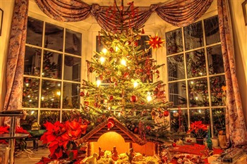 Holiday Tours